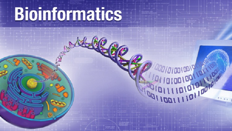 Bioinformatics: Setting up your computer (1)